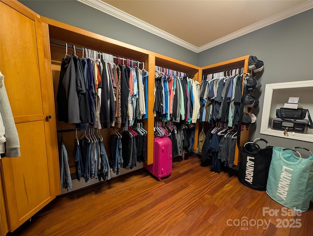 spacious closet with wood-type flooring