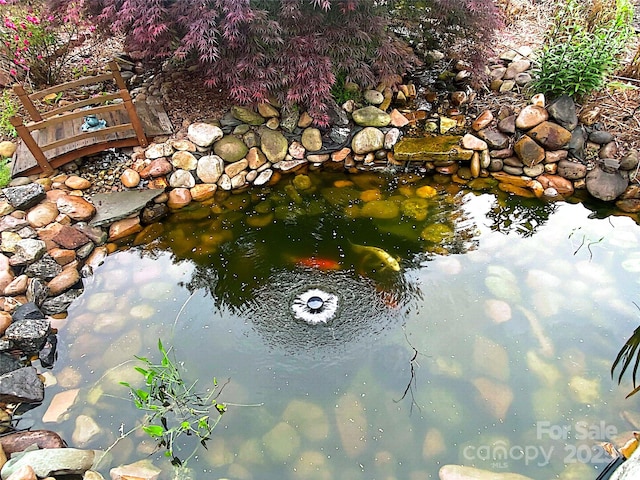 details with a garden pond