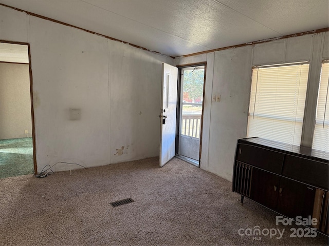 interior space with light colored carpet and a textured ceiling