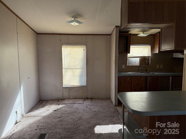 kitchen featuring light colored carpet and sink