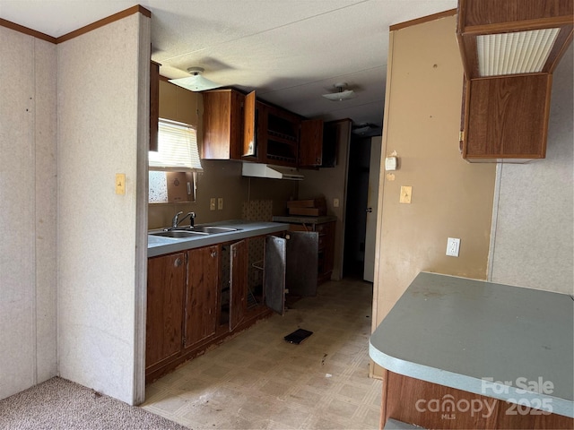 kitchen with sink