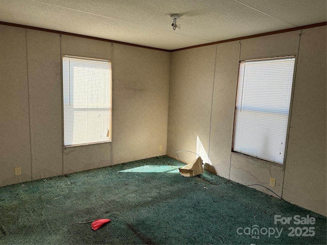 carpeted spare room featuring a textured ceiling and ornamental molding