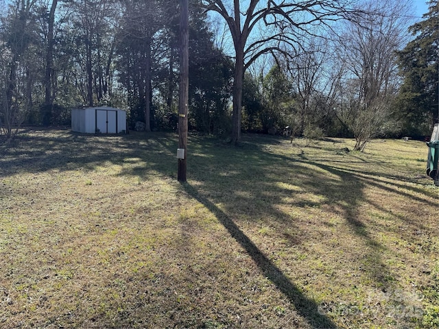 view of yard with a storage unit