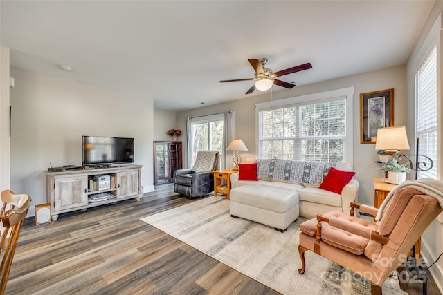 living room with hardwood / wood-style flooring and ceiling fan