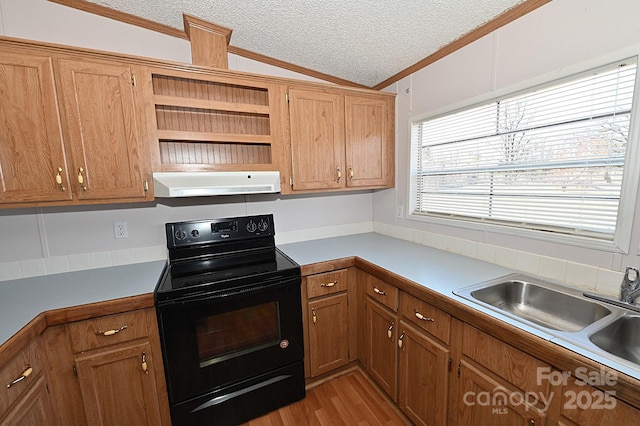 kitchen with vaulted ceiling, light hardwood / wood-style floors, black range with electric stovetop, sink, and a textured ceiling