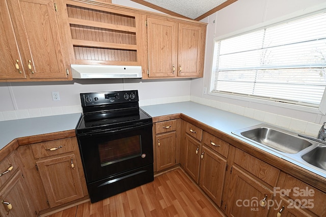 kitchen featuring a textured ceiling, lofted ceiling, black / electric stove, sink, and light hardwood / wood-style flooring