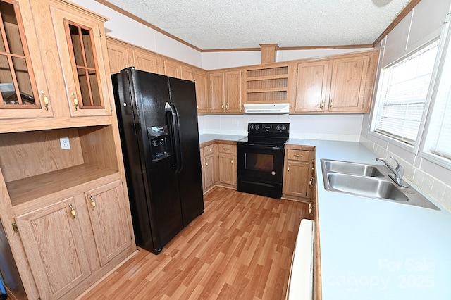 kitchen with vaulted ceiling, black appliances, sink, light wood-type flooring, and ornamental molding