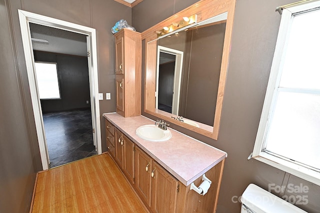 bathroom with toilet and vanity