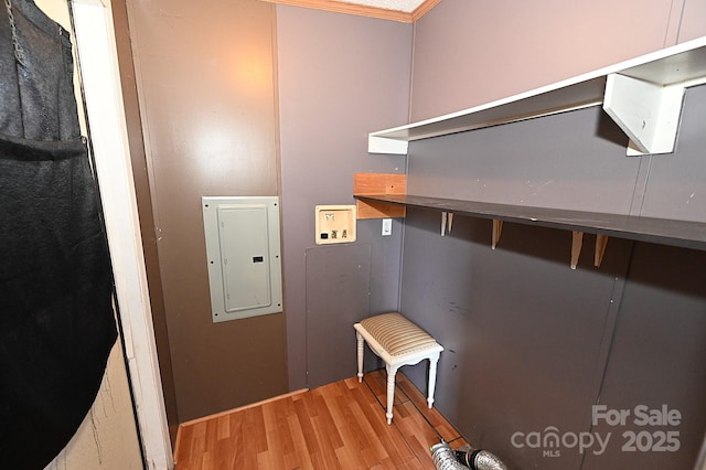 laundry area featuring wood-type flooring, electric panel, crown molding, and hookup for a washing machine