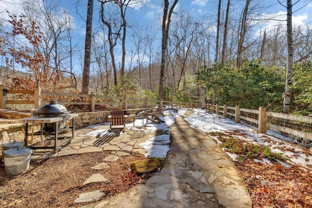 view of yard with a patio area