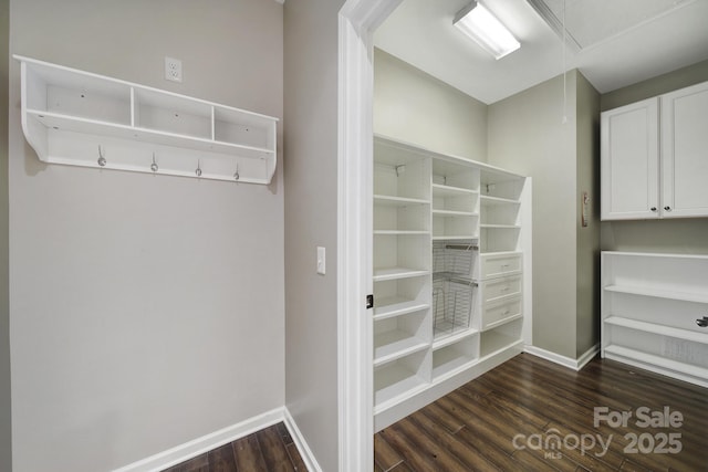 walk in closet with dark wood-type flooring