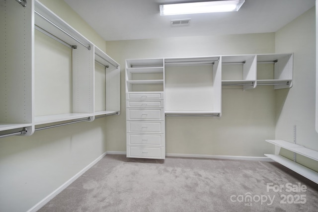 spacious closet featuring light colored carpet