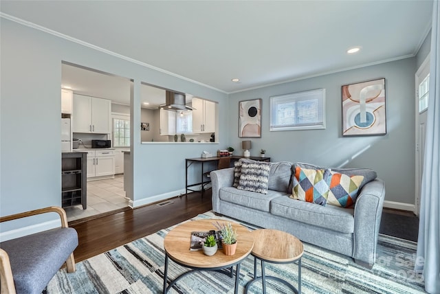 living room featuring crown molding and light hardwood / wood-style flooring