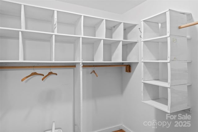 view of spacious closet