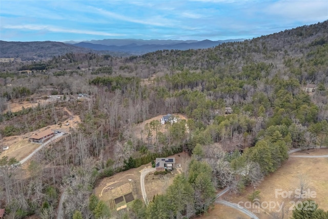 birds eye view of property featuring a mountain view