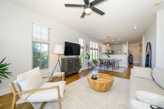 living room featuring ceiling fan and hardwood / wood-style flooring