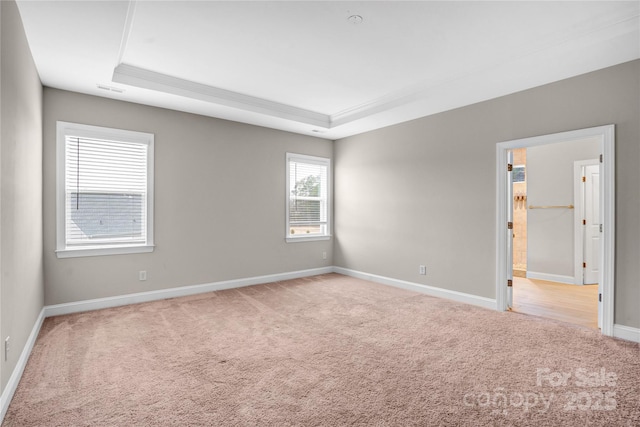 unfurnished room with light colored carpet and a tray ceiling