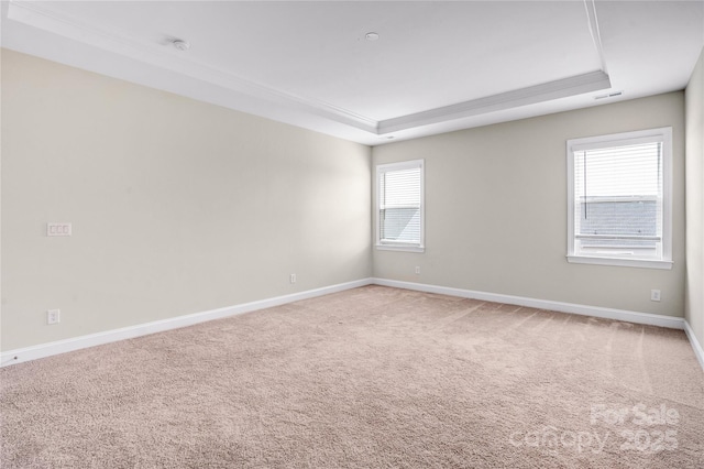 spare room with carpet flooring and a raised ceiling