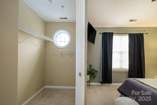 bedroom featuring light carpet and multiple windows