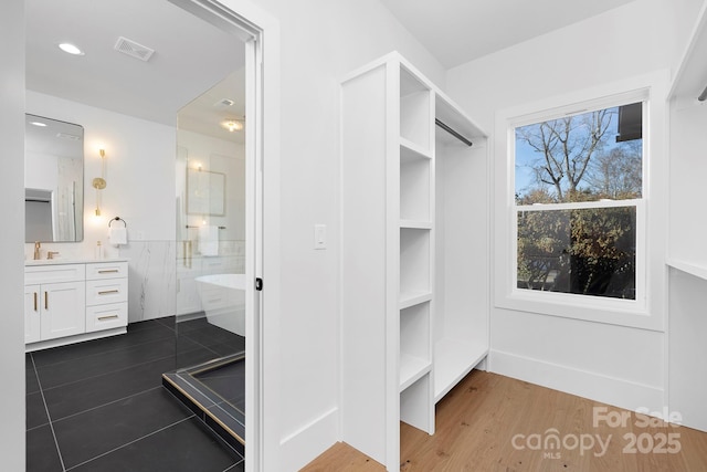 spacious closet with dark wood-type flooring and sink