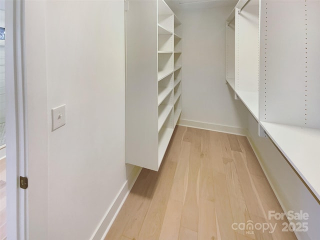 walk in closet with light wood-type flooring