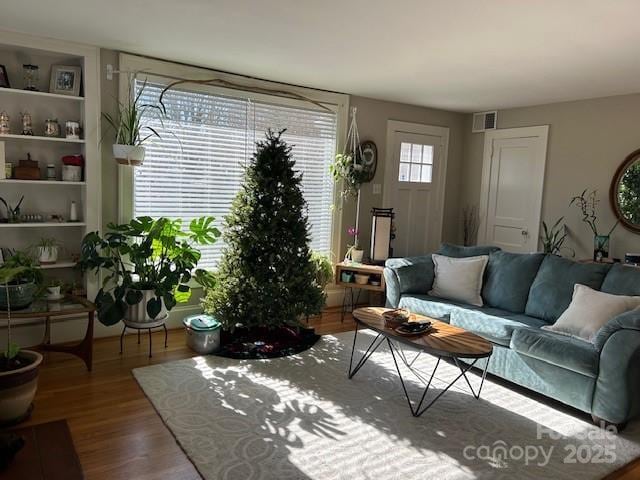 living room with wood-type flooring