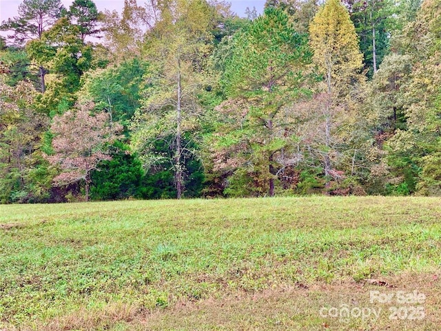 Listing photo 3 for 74 Driftwood Trl Unit 74, Rutherfordton NC 28139