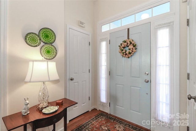 foyer entrance with a healthy amount of sunlight and wood-type flooring