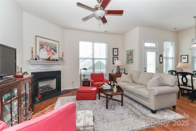 living room with ceiling fan and hardwood / wood-style flooring