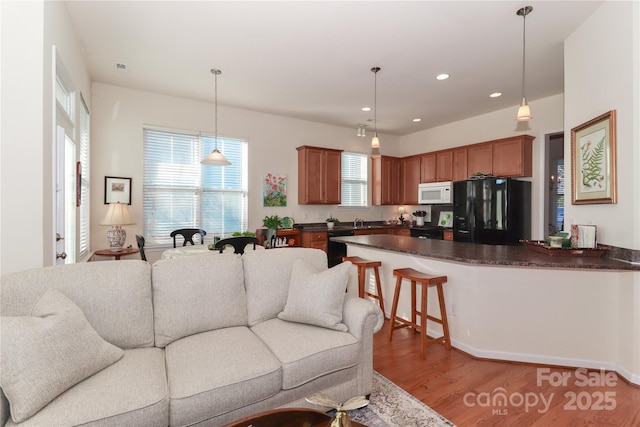 living room featuring hardwood / wood-style floors and sink