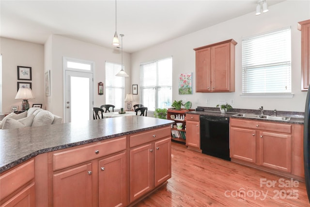 kitchen with light hardwood / wood-style floors, dishwasher, hanging light fixtures, and sink