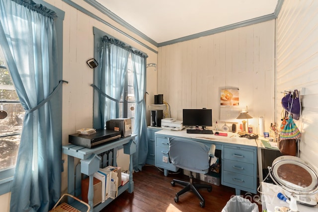 office featuring dark hardwood / wood-style flooring, wood walls, and crown molding