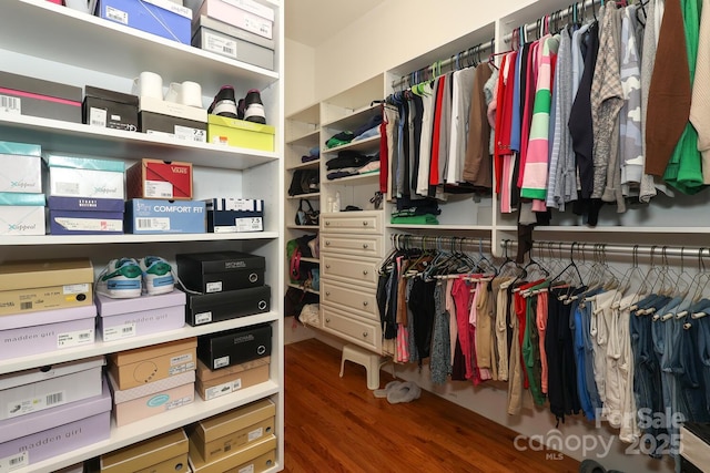 walk in closet featuring dark hardwood / wood-style floors