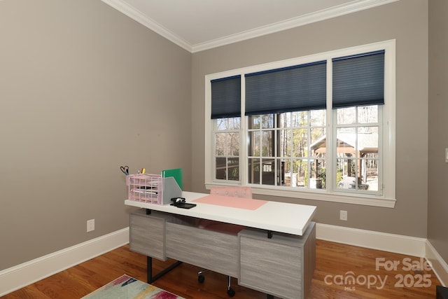 office featuring crown molding and hardwood / wood-style floors