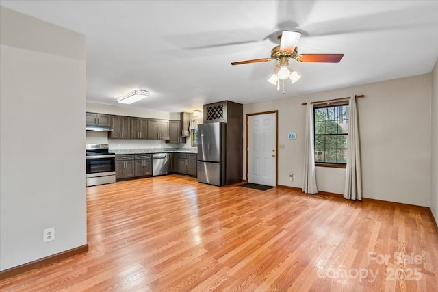 kitchen with ceiling fan, stainless steel appliances, and light hardwood / wood-style flooring