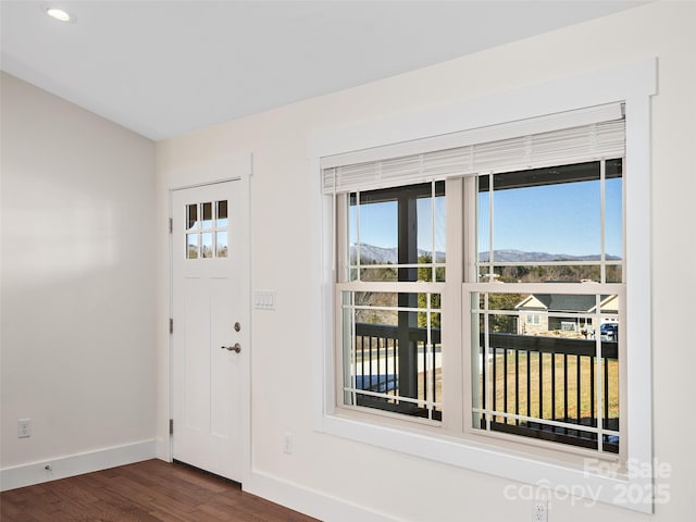 foyer entrance featuring dark hardwood / wood-style flooring and a mountain view