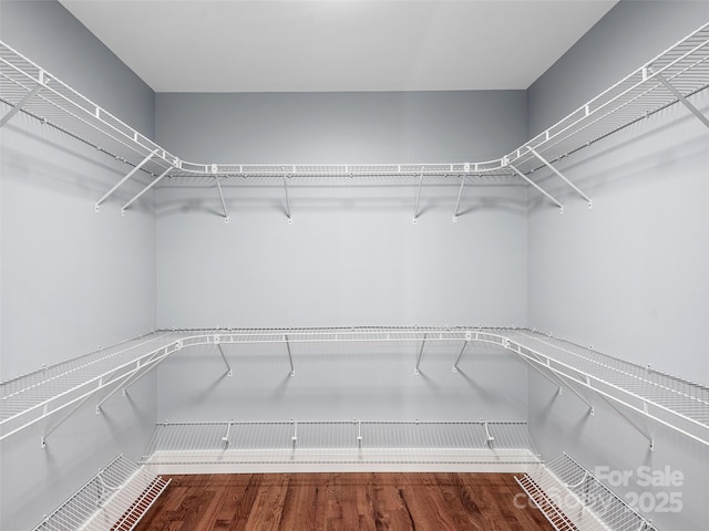 spacious closet with wood-type flooring