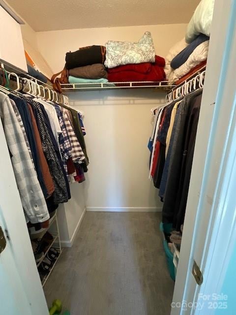 view of walk in closet