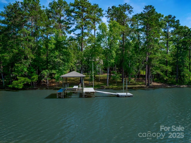 view of water feature featuring a boat dock