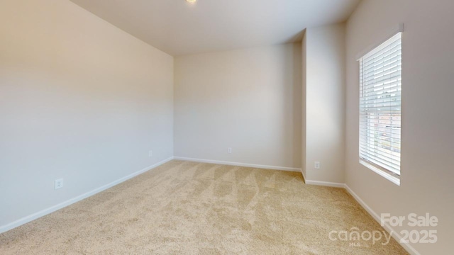 empty room with light carpet and a wealth of natural light