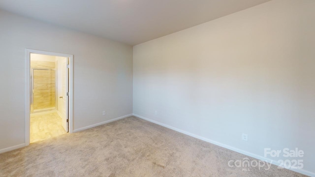 unfurnished room with light carpet