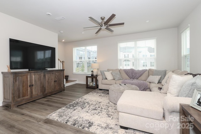 living room featuring ceiling fan, plenty of natural light, and hardwood / wood-style flooring