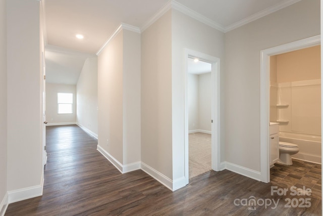 hall featuring dark hardwood / wood-style floors and ornamental molding