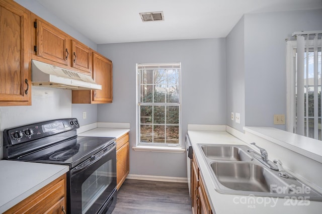 kitchen with dark hardwood / wood-style flooring, sink, and electric range