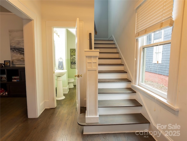 stairway with wood-type flooring