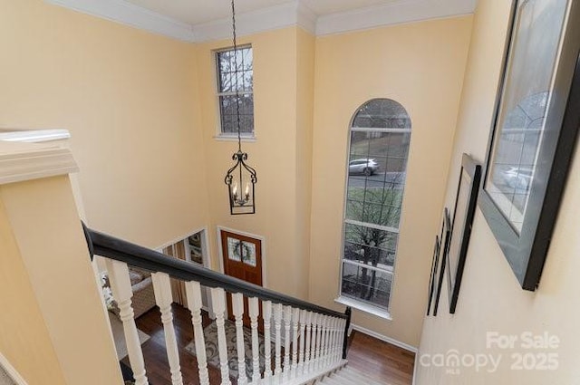 stairway with hardwood / wood-style flooring, crown molding, and a chandelier