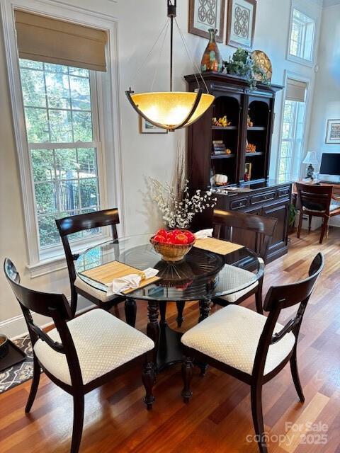 dining space with hardwood / wood-style flooring