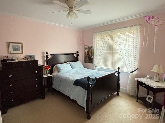 carpeted bedroom featuring ceiling fan and crown molding