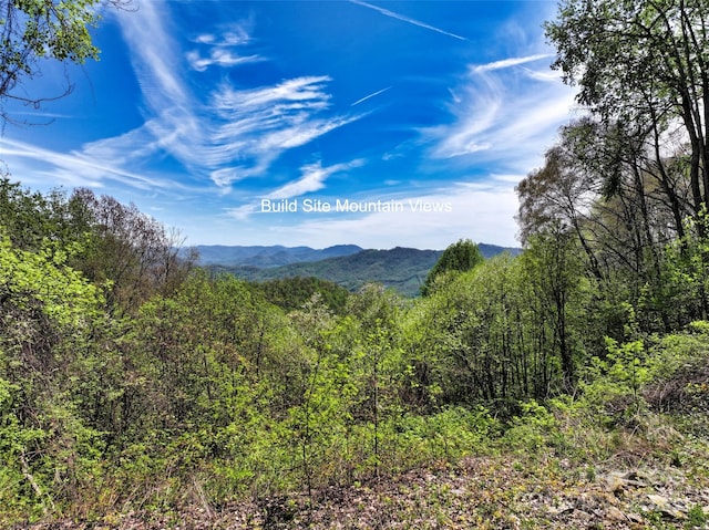 9999 Divit Rd Unit 45, Waynesville, NC 28785