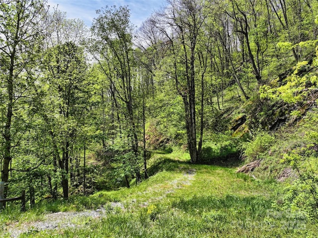 9999 Divit Rd Unit 45, Waynesville, NC 28785
